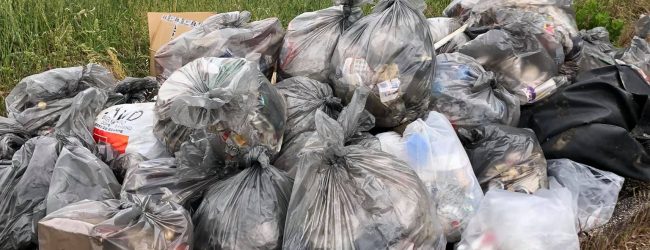 Giornata ecologica, a Pacevecchia raccolti 110 chili di plastica