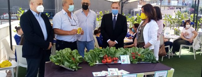 Benevento|Disability Friendly, una merenda insieme con ‘la legalita’