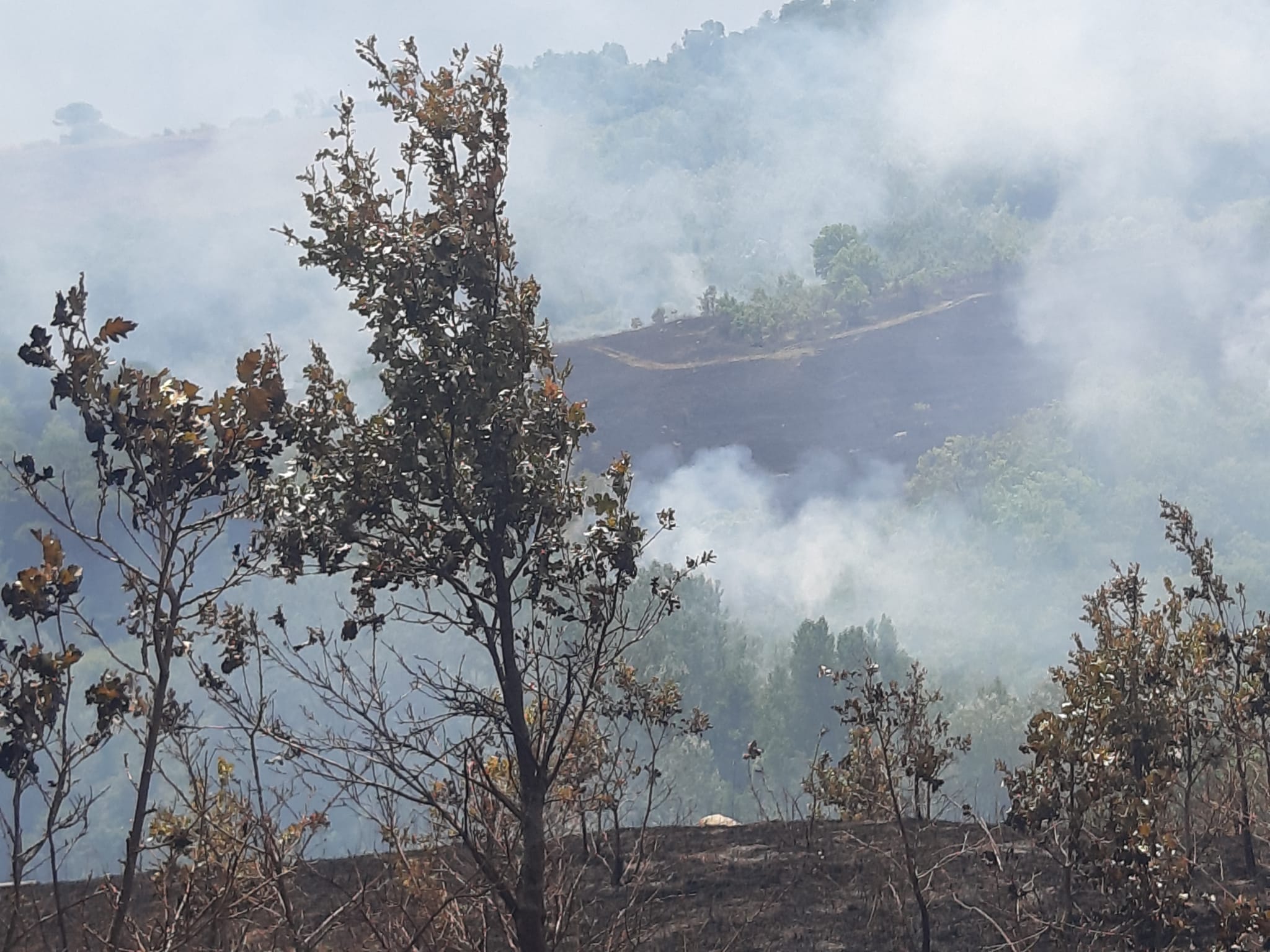 Ancora fiamme in localita’ San Giovanni di Apollosa