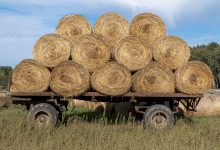 Incidente agricolo ad Aquilonia, muore giovane 28enne