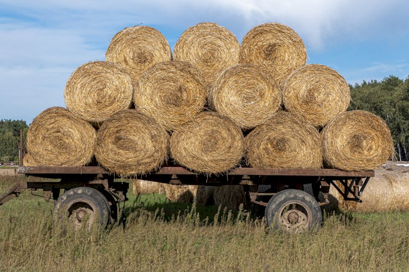 Incidente agricolo ad Aquilonia, muore giovane 28enne