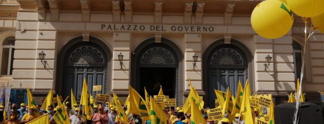 #Stopcinghiali, anche a Benevento il flash mob di agricoltori e sindaci del Sannio