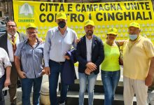 Covid, Coldiretti: 2,3 mln cinghiali assediano citta’ e campagne con il lockdown ,+ 15% branchi nell’anno della pandemia