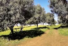 Vacanze, Coldiretti campania: paura contagi spinge aree interne.Ampia offerta agrituristica tra Irpinia, Sannio, Cilento e Matese