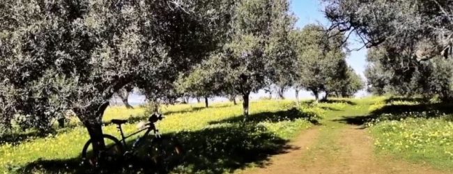 Vacanze, Coldiretti campania: paura contagi spinge aree interne.Ampia offerta agrituristica tra Irpinia, Sannio, Cilento e Matese