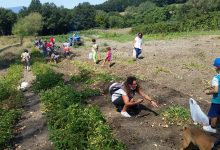 AgriFestival, un viaggio nell’arte e nella natura