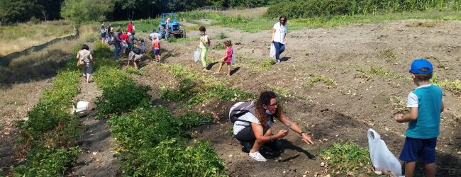 AgriFestival, un viaggio nell’arte e nella natura