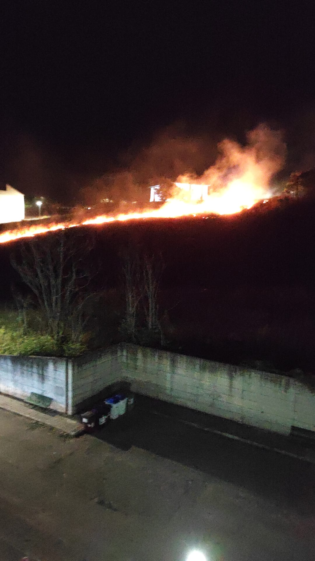 Incendio a Capodimonte, la denuncia: ‘sono anni che nessuno interviene’