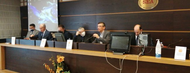 Capitalismo “dal volto umano” nel lavoro di Marotta e Piazza