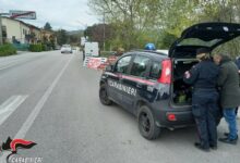 Sannio, sequestrati 640 kg di prodotti di Pasqua privi di tracciabilità