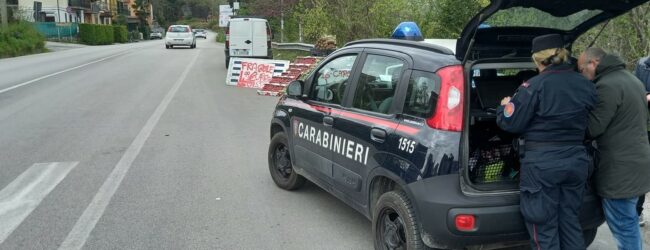 Sannio, sequestrati 640 kg di prodotti di Pasqua privi di tracciabilità