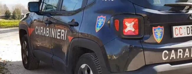 Aree montane del Parco Regionale del Partenio utilizzate come pista da cross e fuoristrada, intervengono i Carabinieri Forestale