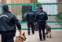 Droga nel carcere scoperta grazie ai cani Onia e Zoy del Nucleo Cinofili di Benevento