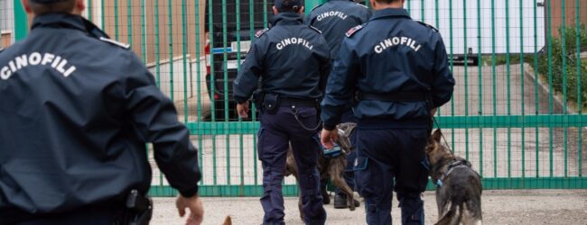 Droga nel carcere scoperta grazie ai cani Onia e Zoy del Nucleo Cinofili di Benevento