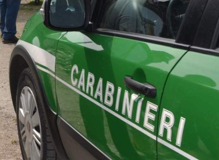 Baiano, taglia abusivamente piante in area a rischio frana: denunciato