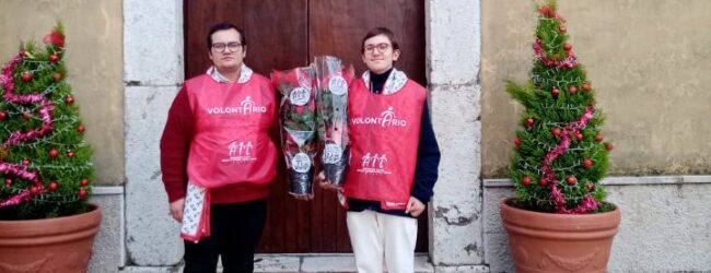 La Pro Loco Generoso Papa di Arpaise a sostegno dell’AIL Benevento, prenotazioni aperte per la vendita delle Stelle di Natale