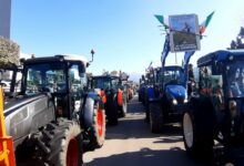 UNIAGRI lancia la mobilitazione per il settore agricolo: assemblea pubblica a Flumeri il 19 gennaio