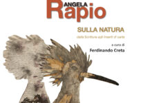 Venerdi al Museo Arcos l’inaugurazione della mostra “Angela Rapio. Sulla natura”