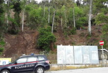 Telese Terme, Legambiente: “No al taglio indiscriminato alberi di Monte Pugliano”