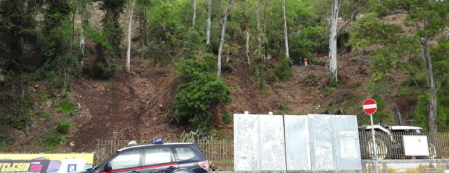 Telese Terme, Legambiente: “No al taglio indiscriminato alberi di Monte Pugliano”