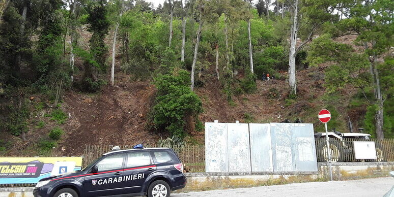 Telese Terme, Legambiente: “No al taglio indiscriminato alberi di Monte Pugliano”