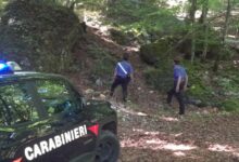 Senerchia, in cerca di funghi perde l’orientamento: rintracciato 70enne dai Carabinieri