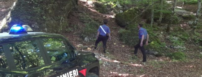 Senerchia, in cerca di funghi perde l’orientamento: rintracciato 70enne dai Carabinieri