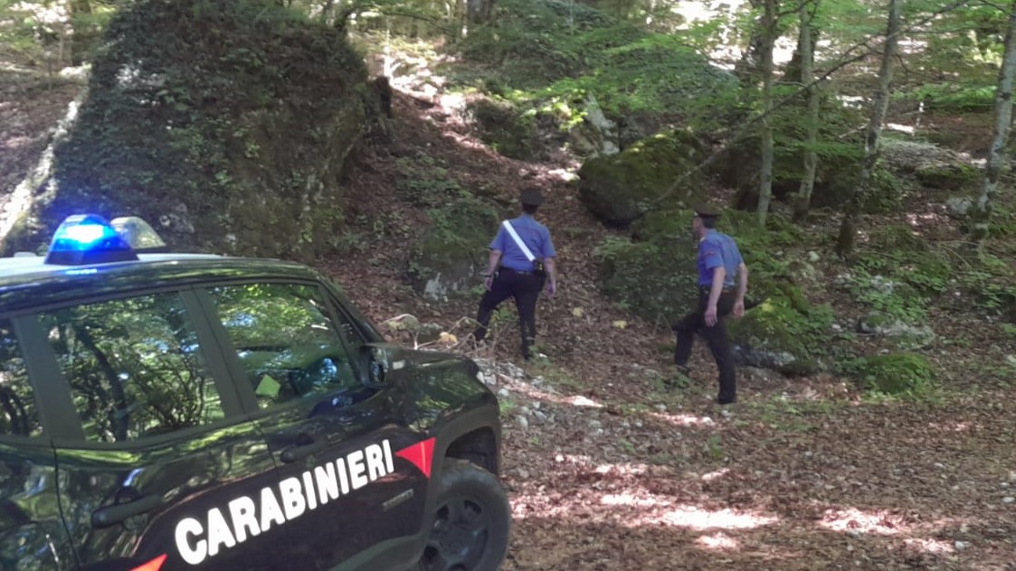 Senerchia, in cerca di funghi perde l’orientamento: rintracciato 70enne dai Carabinieri