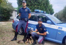 #senontiportononparto, la campagna della Polizia contro l’abbandono degli animali