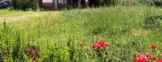 Infopoint di Piazza Cardinal Pacca, Lonardo (FI): “Un mamozino in totale abbandono”