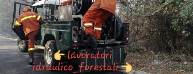 Forestali: Fai, Flai e Uila illustrano ipotesi di piattaforma per rinnovo Ccnl 2025-2028