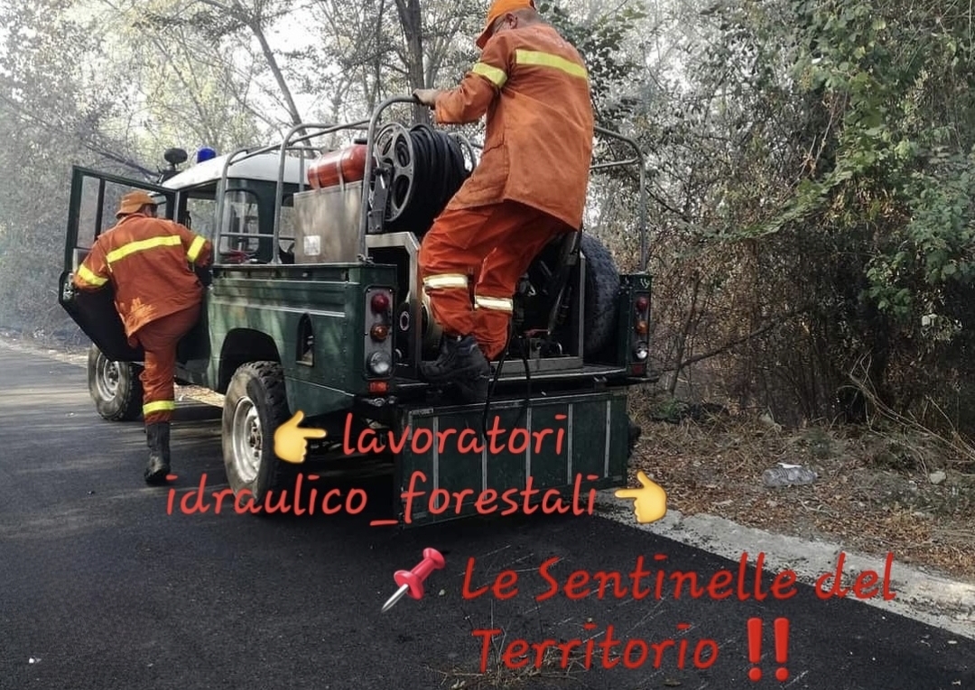 Forestali: Fai, Flai e Uila illustrano ipotesi di piattaforma per rinnovo Ccnl 2025-2028