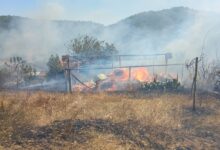 Incendio a Paduli, le fiamme minacciano aziende e case. Morti alcuni animali da fattoria