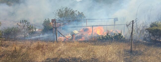 Incendio a Paduli, le fiamme minacciano aziende e case. Morti alcuni animali da fattoria