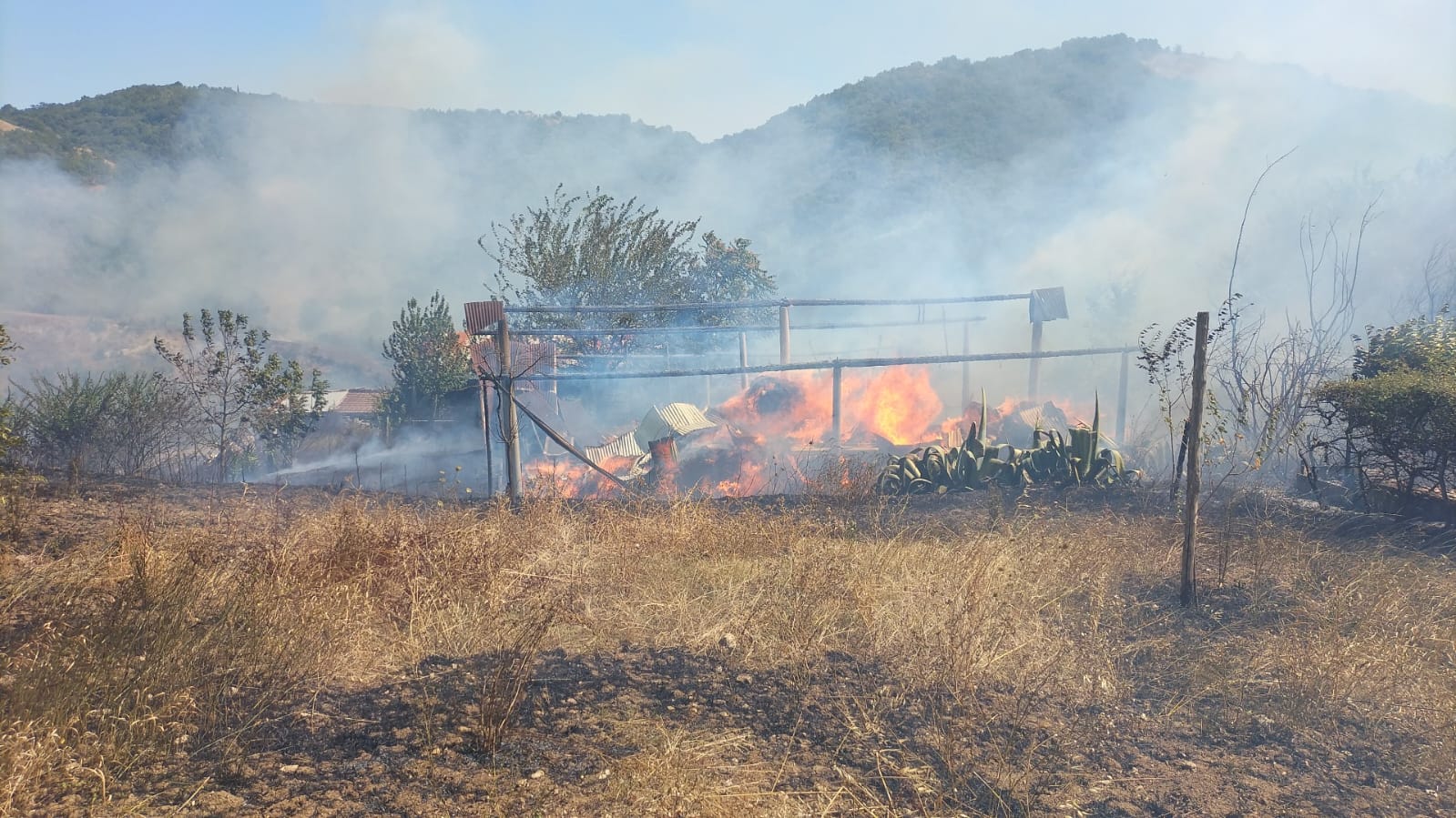 Incendio a Paduli, le fiamme minacciano aziende e case. Morti alcuni animali da fattoria