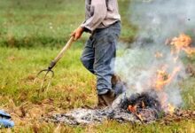 Bruciava residui vegetali, denunciato 40enne di Solofra
