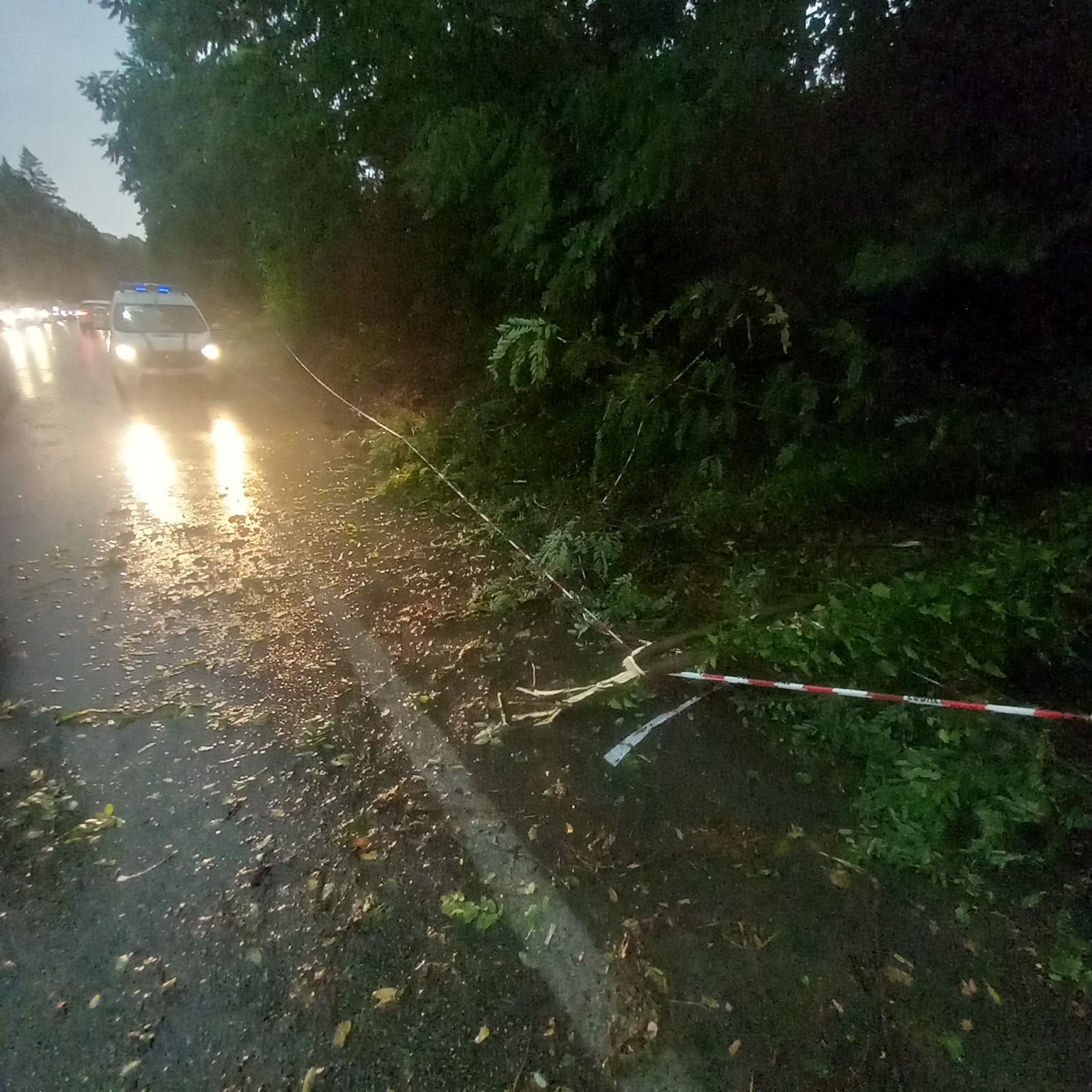 Bomba d’acqua nel Sannio: disagi e danni anche alla Cantina di Solopaca