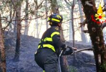 Incendi in Irpinia, oggi oltre 40 interventi dei vigili del fuoco