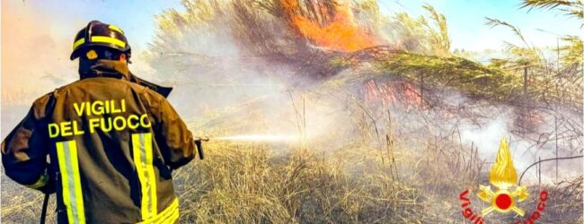 Incendi in Irpinia, decine di interventi: vigili del fuoco di nuovo a Montevergine