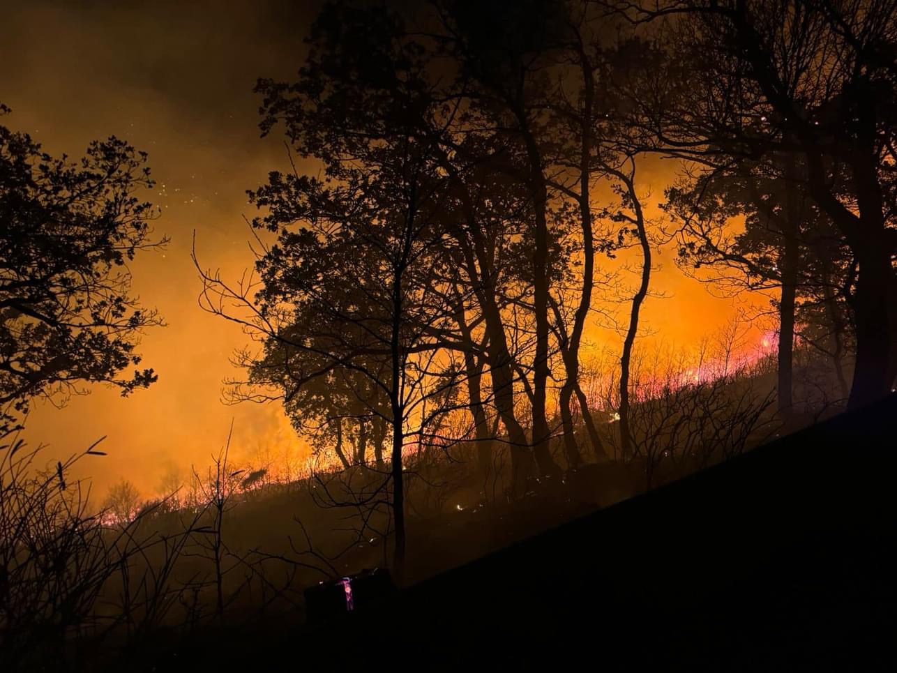 Incendio a Montevergine,  il sindaco D’Alessio: “il  peggio è passato, siamo alla conte  dei danni”