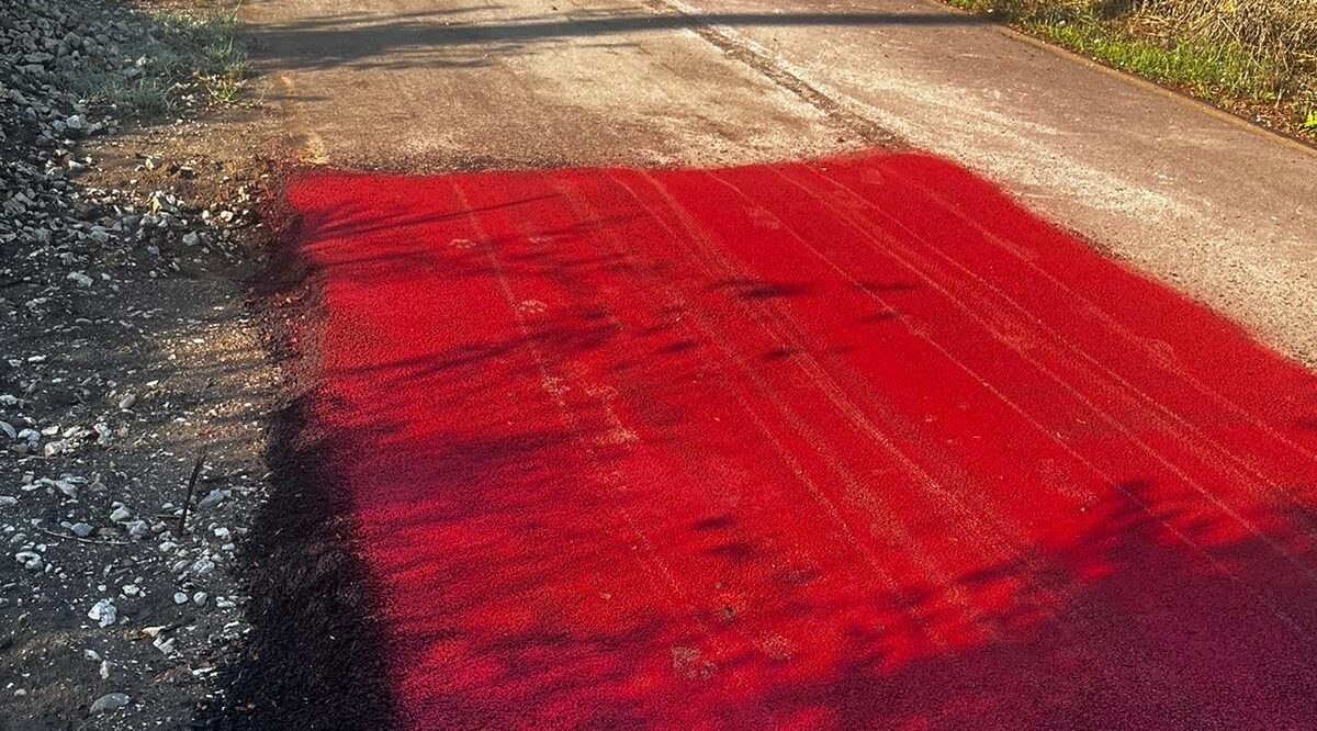 Pista ciclopedonale a Pantano, Giorgione (FI): “lo Scempio continua”