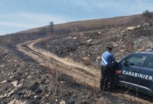 Montecalvo Irpino| Dà fuoco alle sterpaglie vicino alla sua abitazione, multato 82enne