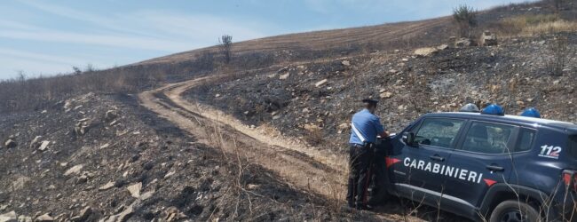 Montecalvo Irpino| Dà fuoco alle sterpaglie vicino alla sua abitazione, multato 82enne