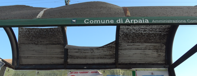 Quelle pensiline sfondate di Arpaia…