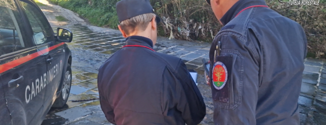 Controlli ambientali, i Carabinieri Forestali di Avellino denunciano 7 persone