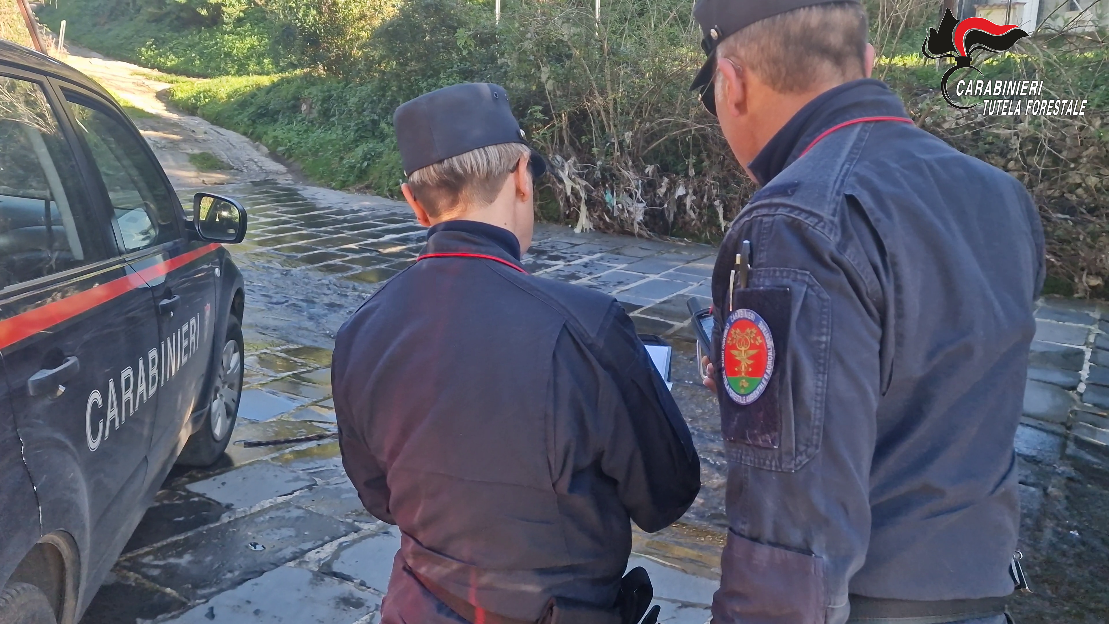 Controlli ambientali, i Carabinieri Forestali di Avellino denunciano 7 persone