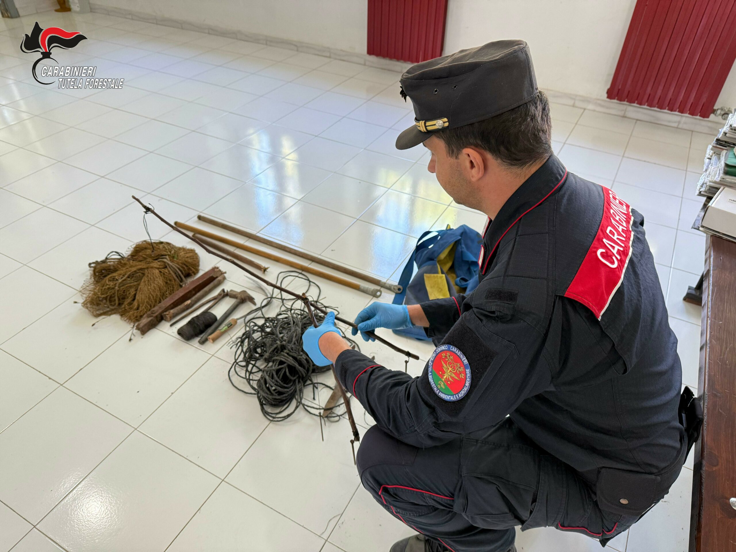 Blitz dei Carabinieri Forestali contro il bracconaggio: deferito un 35enne per uccellagione nel Parco dei Monti Picentini