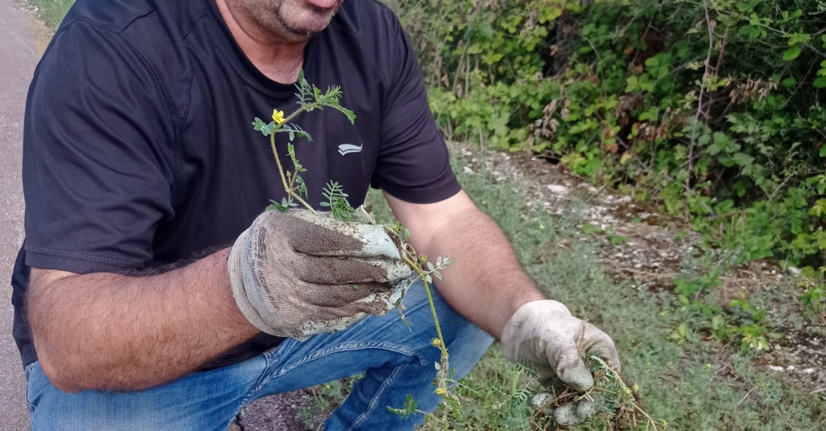 Piante spinose lungo la pista a Pantano,SOS di Malevento Sport