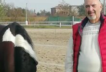 Associazione Campana Cavallo Reining ASD, ad un anno dalla scomparsa il Primo Memorial Alberico Porcaro di Ceppaloni