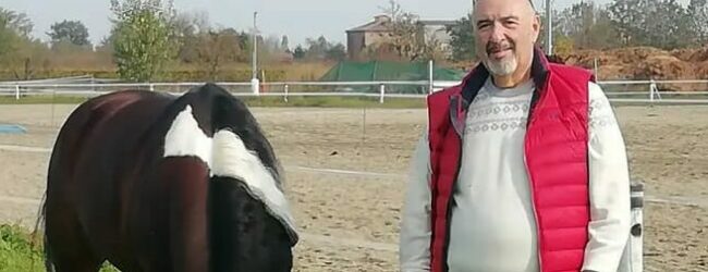 Associazione Campana Cavallo Reining ASD, ad un anno dalla scomparsa il Primo Memorial Alberico Porcaro di Ceppaloni